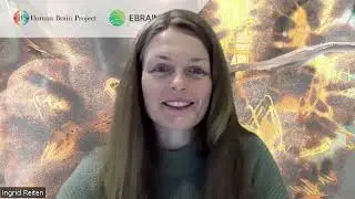 HBP Young Researchers - 