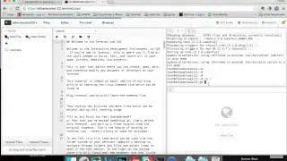 Learn the Linux Command Line Basics