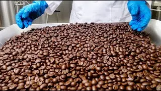 Roasting Techniques for the Best Coffee Flavor! This is How Tasty Coffee is Made!