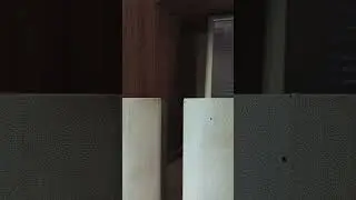 VID 20240929 093523