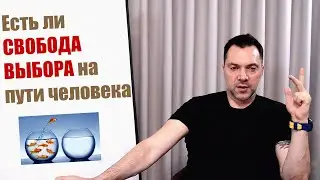 АРЕСТОВИЧ: Предопределен ли жизненный путь человека, на все воля Божья, или есть свобода выбора?