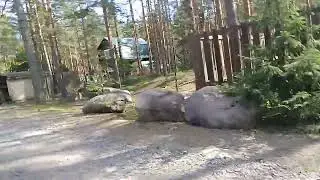 9 августа 2024 г.