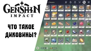 Диковины и где их искать | Genshin Impact