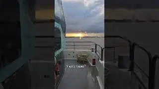 У кого также? 
