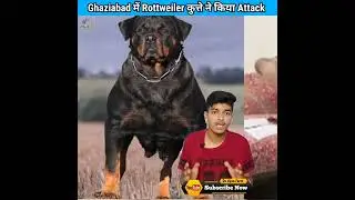 Ghaziabad में Rottweiler कुत्ते ने किया Attack #shorts #viral #dogattack