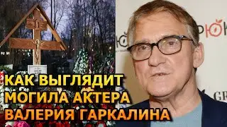 АЖ МУРАШКИ ПО КОЖЕ! ВОТ КАК ВЫГЛЯДИТ МОГИЛА ВАЛЕРИЯ ГАРКАЛИНА