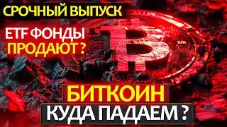 БИТКОИН - что происходит, почему падает? Куда дальше будет падать цена BTC и где откупать?