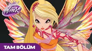 World of Winx | TÜRKÇE | S1 Bölüm 5 | Stilist aranıyor | TAM BÖLÜM