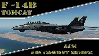 Basic Fundamentals DCS World: F 14B Tomcat  ACM Modes