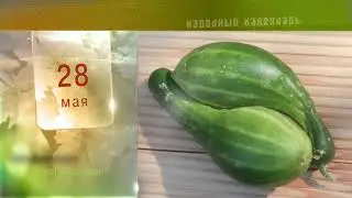 28 Мая - Ежедневный Народный Календарь