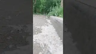 Ангарск, кто придумал в городе тополя?