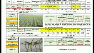 Анализ почвы лабораторией на наличие влаги и азота.