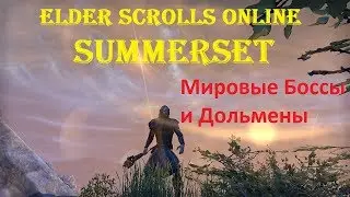 The Elder Scrolls Online #139 - SUMMERSET: Мировые Боссы и Дольмены