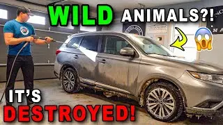 Can This DESTROYED Car Be Saved?! | The Detail Geek