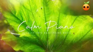 Calm Piano Background Music For Videos | Royalty Free Music | Stock Music | Instrumental