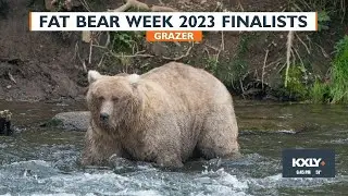 And the winner of Fat Bear Week 2023 is.....