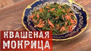 МОКРИЦА! КВАСИМ МОКРИЦУ!