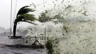 Video muestra la furia del Huracán Beryl en Jamaica - Huracán Beryl azota a Jamaica