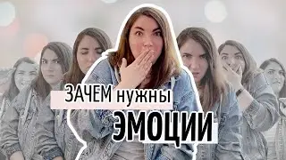 Почему эмоции также важны, как разум и интеллект / как развивать эмоциональный интеллект