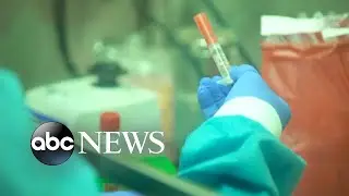 US researchers test the first experimental coronavirus vaccine