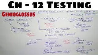 Hypoglossal Nerve Testing | Safety Muscle of Tongue | The Charsi of Medical Literature