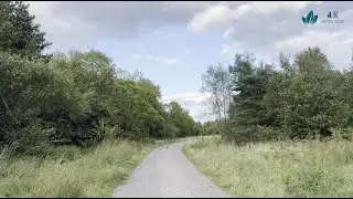 A reflective journey down a gravel trail on a dreary day