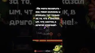 Интересные Факты о Террарии 8 #terraria #террария