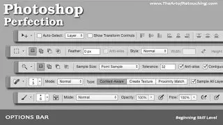 Options Bar | Photoshop Beginner's Tutorial