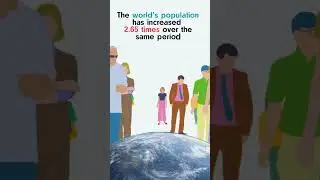 Milk production in the world 1961-2022  