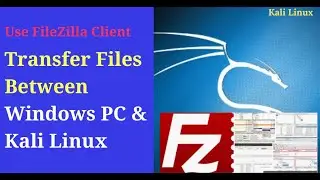 How to Transfer Files between Kali Linux and Windows PC using FileZilla