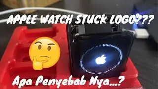 Apple Watch Series 3 Apple Logo Flashing