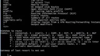 366 Loopbacks And Ethernet Segment Added To Lab