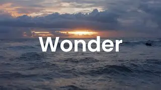 Wonder