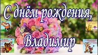С днём рождения, Владимир