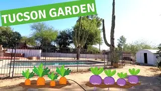 GROW A GARDEN IN TUCSON