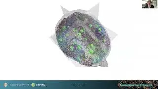 OHBM 2022 | 84 | Educational Course | Generative Modelling of Brain Dynamics | Part 5