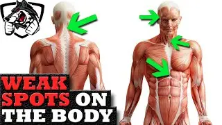 Weak Spots to Strike in a Street Fight (DANGEROUS)