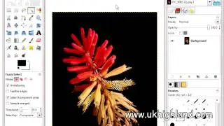 Fuzzy Select Tool Gimp A Basic Tool