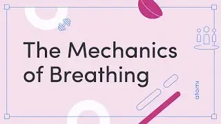 NSW Y11-12 PDHPE: The Mechanics of Breathing