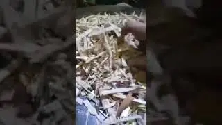 Два газгена в связке обеспечивают газом электростанция, сырье щепа.
