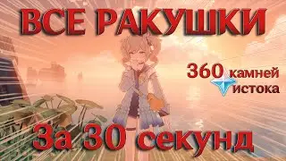 ВСЕ РАКУШКИ ЗА 30 СЕКУНД Genshin Impact