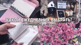 КАК ВЫБРАТЬ ЕЖЕДНЕВНИК? | Делаем это вместе!