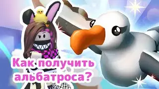 Как получить АЛЬБАТРОСА в Adopt Me Roblox! | Обновление снежная погода