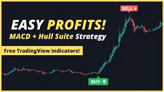 I Found The Best Profitable MACD + HULL SUITE Day Trading Strategy for Forex, Stocks, and Crypto