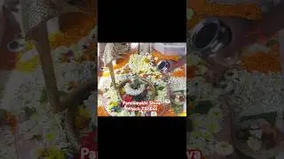 Jai Shiv Shambhu | Panchmukhi Shiva | Five-Faced Lord Shiva  #shortvideo #shorts #viralreels #short