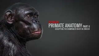 ZBrush Primate Anatomy Part 2 Sculpting the Chimp (Full Tutorial at BadKing.com.au)