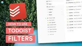 How to Use Todoist Filters | Workshop