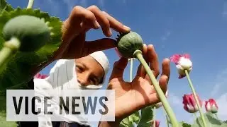 VICE News Daily: Beyond The Headlines - November 13, 2014