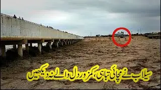 Selab 2022 Viral video | Salebi Rela | Taunsa sharif flood 2022 | Balochistan Flood 2022 |swat flood