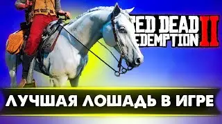 Red Dead Redemption 2 Где и Как  Найти Лучшую Лошадь в Игре